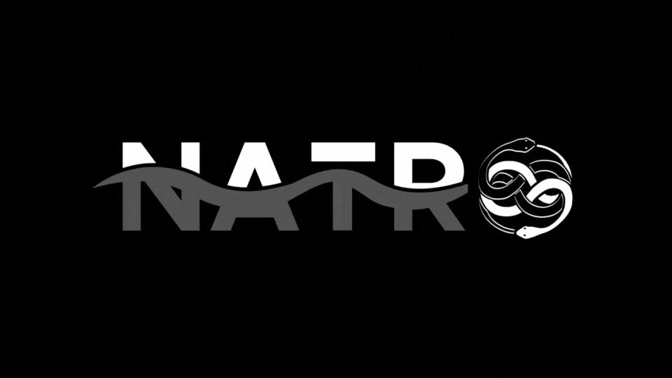 Discovery splash banner for Natro Macro Discord server