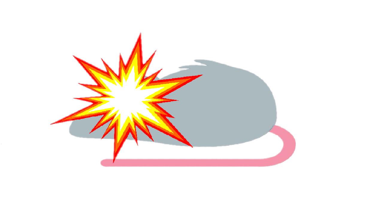 Discovery splash banner for Ratter Scanner Development Discord server