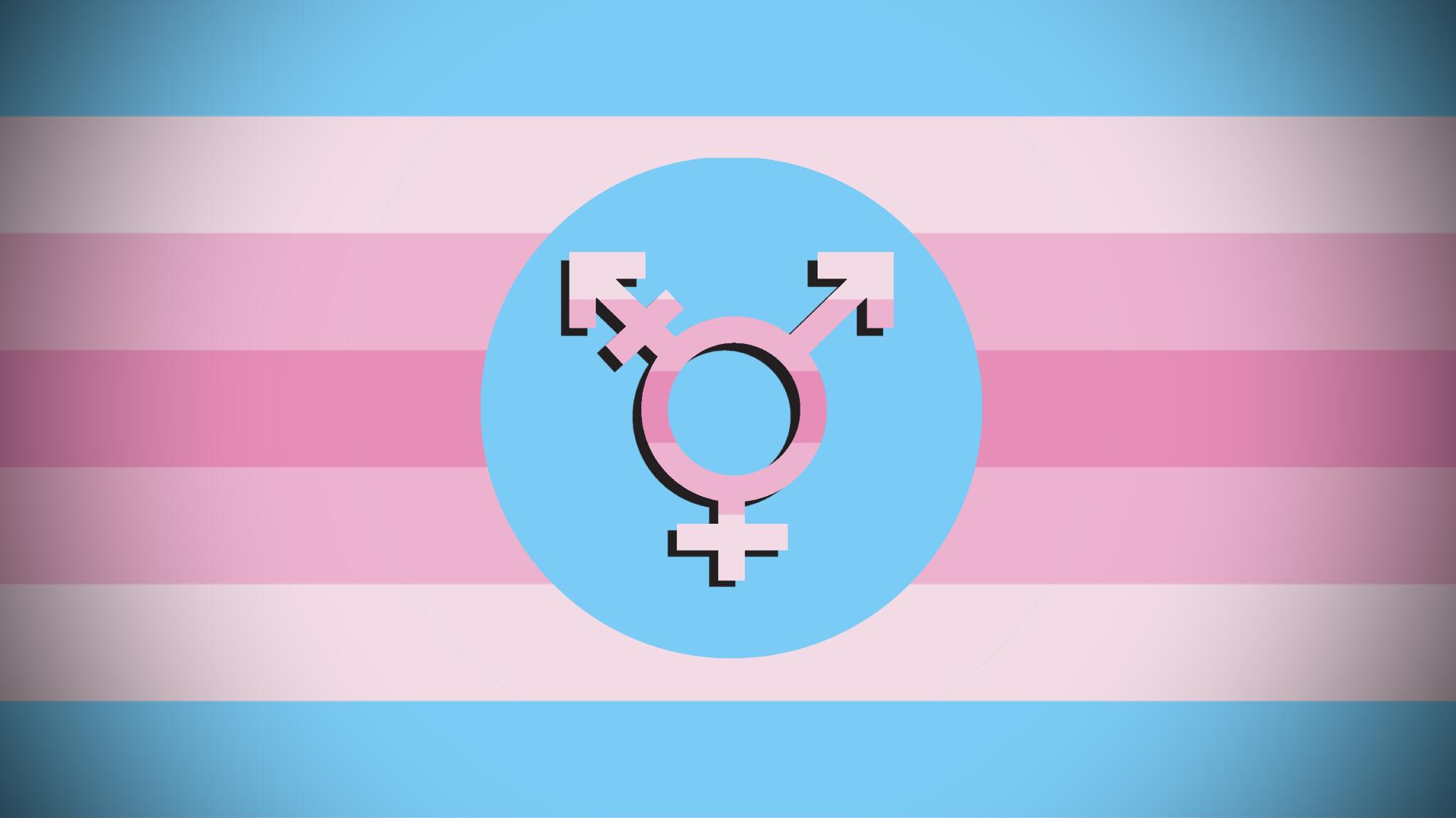 Discovery splash banner for Transfem Hangout Discord server