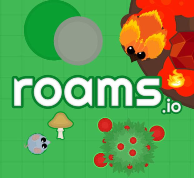 Discovery splash banner for Roams.io Discord server