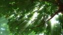 Discovery splash banner for Мастерская Джунглей 🌳 ・ Общение ・ Игры ・ Аниме и Манга Discord server