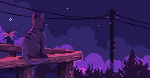 Discovery splash banner for Cat 🐈 Discord server