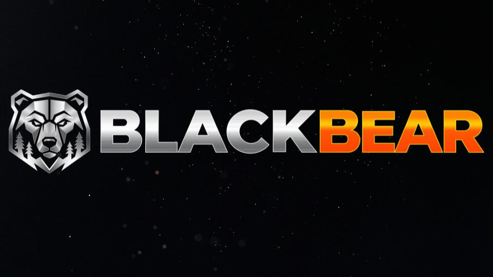 Discovery splash banner for Black Bear | FULL PVE Discord server
