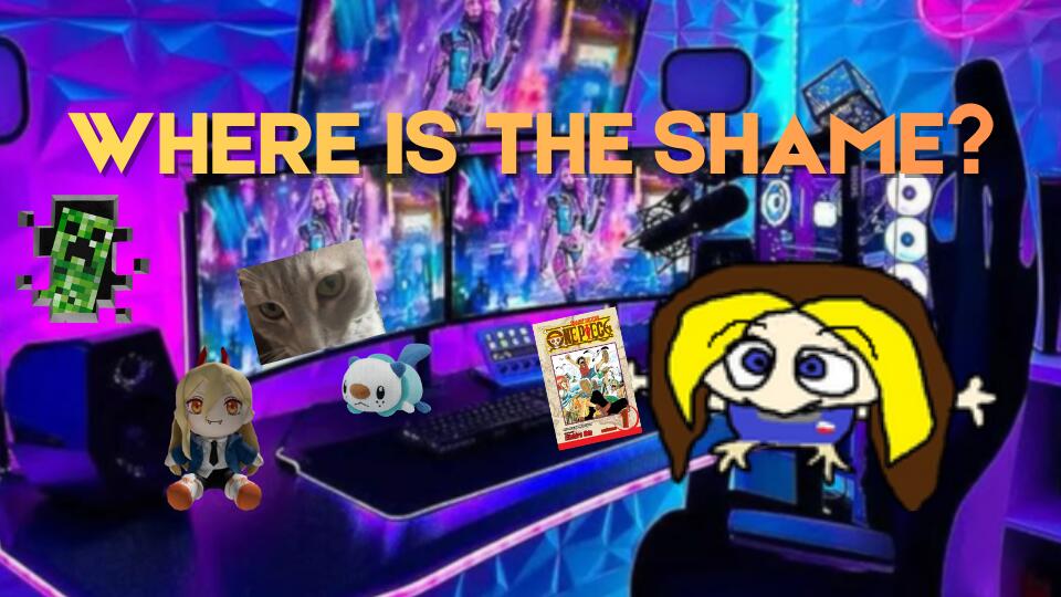 Discovery splash banner for Where is the Shame? Discord server