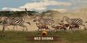 Discovery splash banner for Wild Savanna Official Server Discord server