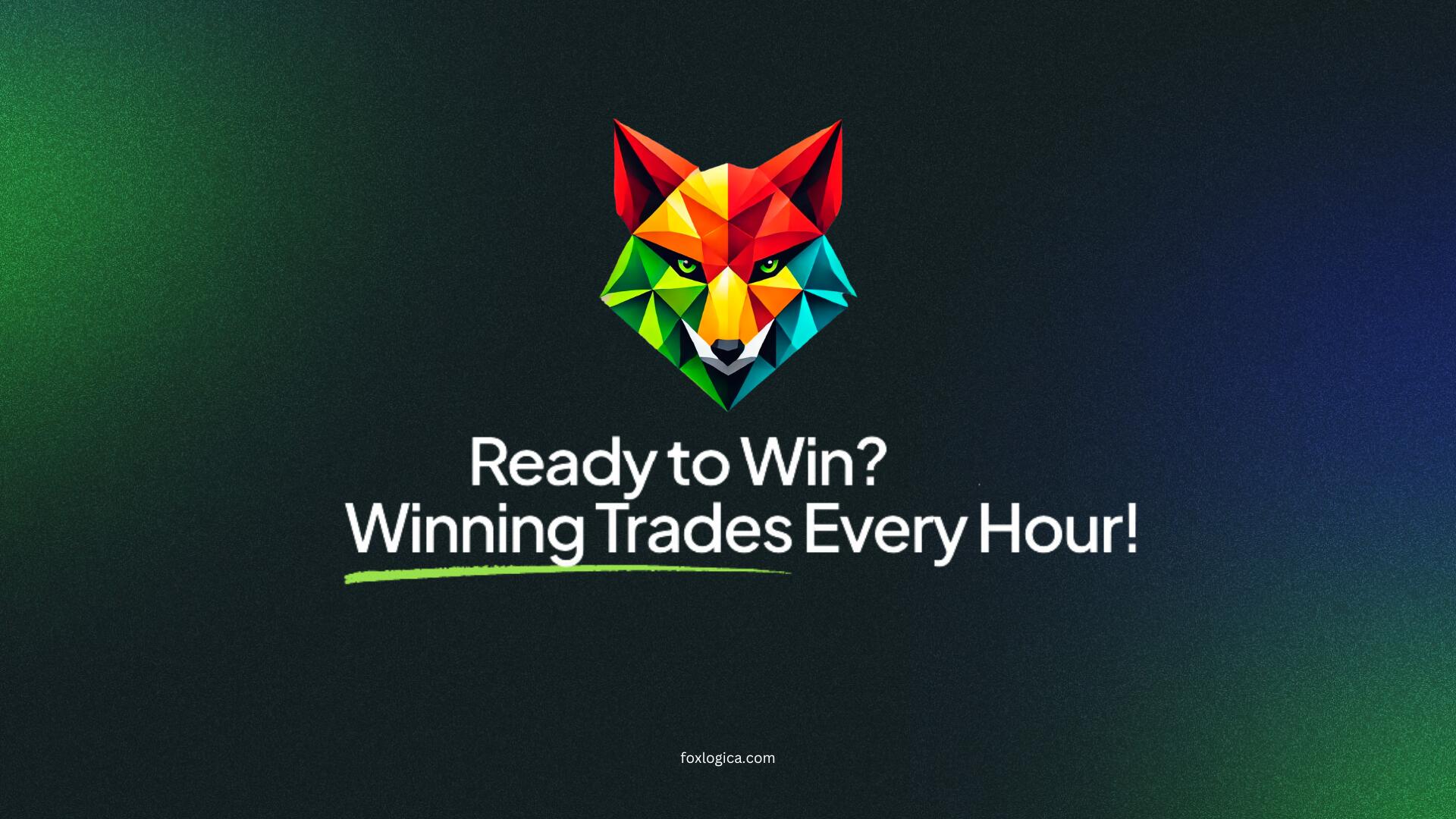Discovery splash banner for Foxlogica Hub Discord server