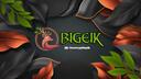 Discovery splash banner for BIGEIK Discord server