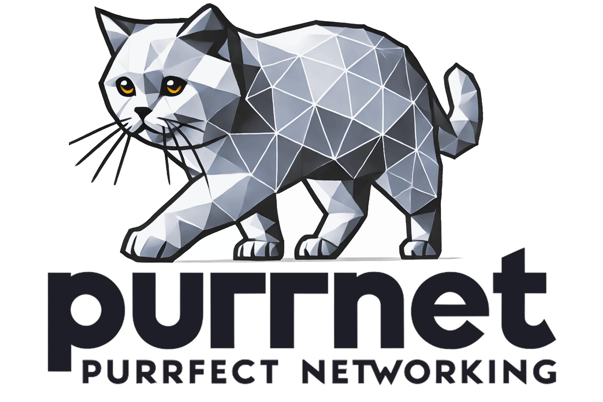Discovery splash banner for PurrNet Discord server
