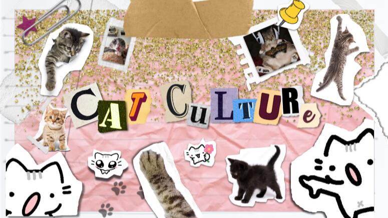 Discovery splash banner for CAT CULTURE Discord server