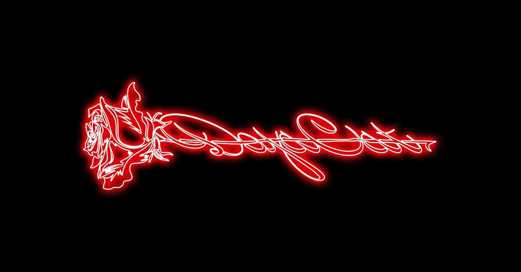 Discovery splash banner for Doja Cat Discord server