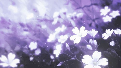 Discovery splash banner for ✿. Petplay #doll ゛ ⸝⸝.ᐟ⋆ Discord server