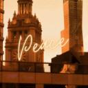 Discovery splash banner for Peace X Vibes Discord server