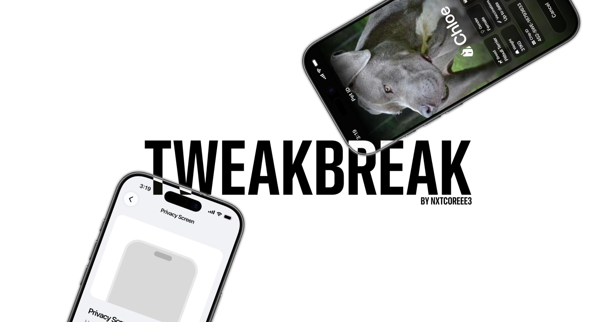 Discovery splash banner for Tweakbreak Discord server