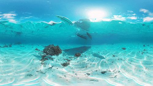 Discovery splash banner for /seaside ꫂ🌊᭪﹒Ი︵𐑼 tag﹒ giveaways﹒ social ﹒guild tags Discord server