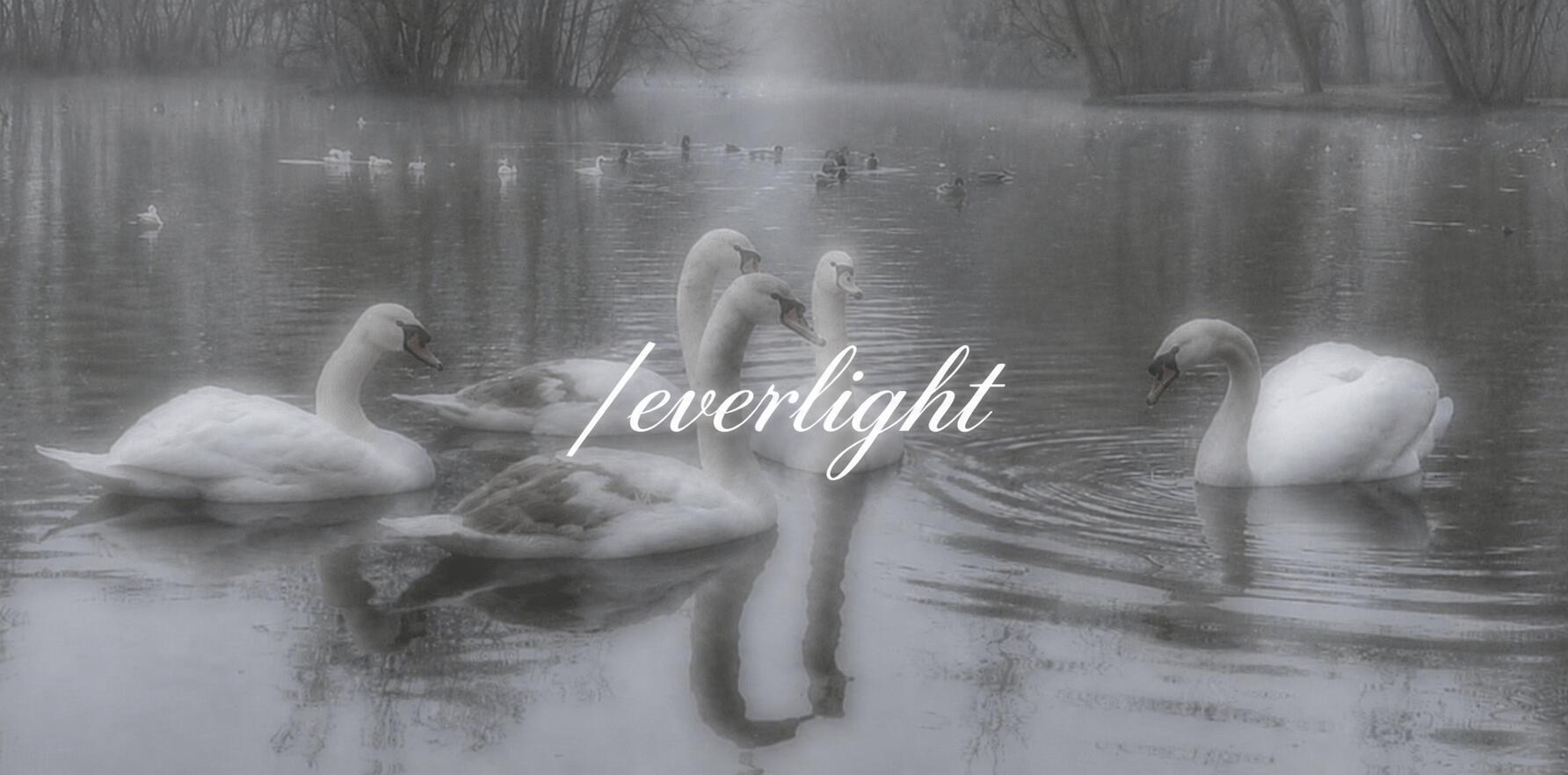 Discovery splash banner for ꒰੭ /everlight ⸝⸝ 𝘀𝘁𝗼𝘅・𝗮𝗻𝗴𝗲𝗹𝗰𝗼𝗿𝗲・𝘀𝗼𝗰𝗶𝗮𝗹・𝗵𝗮𝗻𝗴𝗼𝘂𝘁 ・𝗰𝗵𝗶𝗹𝗹 𐦯 Discord server
