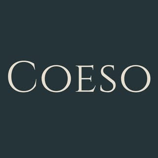 Discovery splash banner for Coeso Discord server