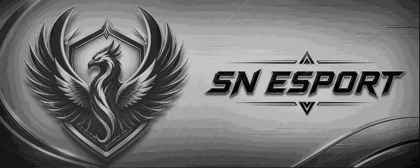 Discovery splash banner for SN Esport Discord server