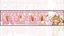 Discovery splash banner for 𐂯 .ノsugarbunnies .#rt2k Discord server