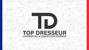 Discovery splash banner for Top Dresseur Discord server