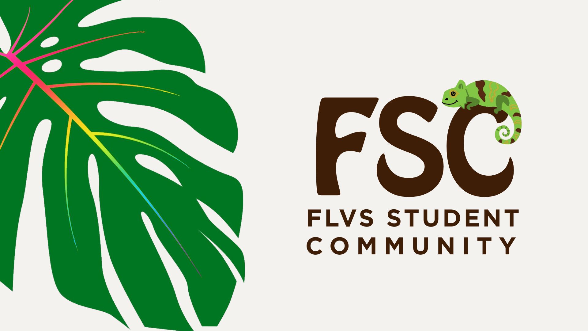 Discovery splash banner for FLVS Student Community Discord server