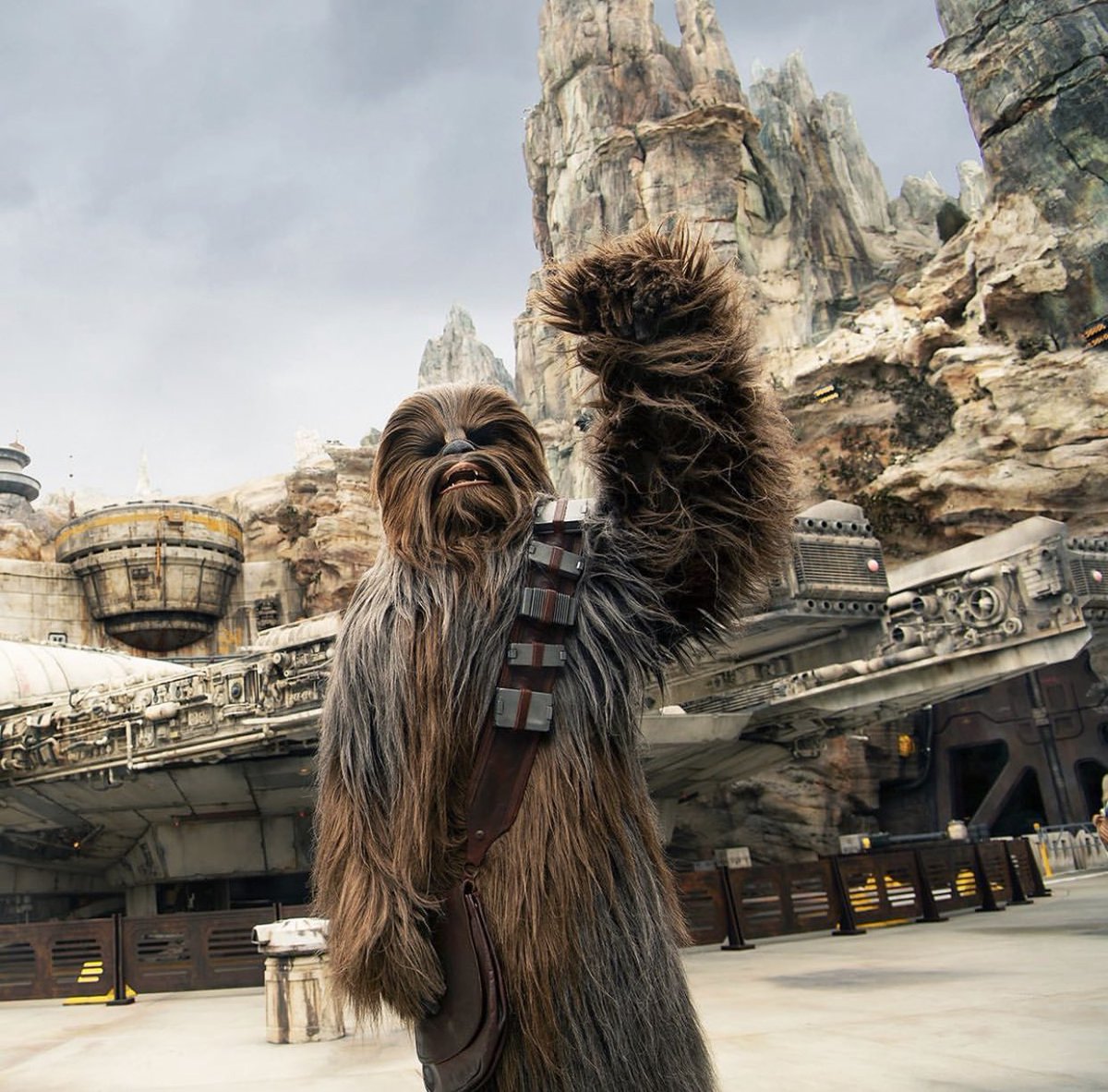 Discovery splash banner for WOOKIEENEWS – Star Wars Discord server