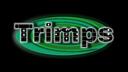 Discovery splash banner for Trimps Discord server