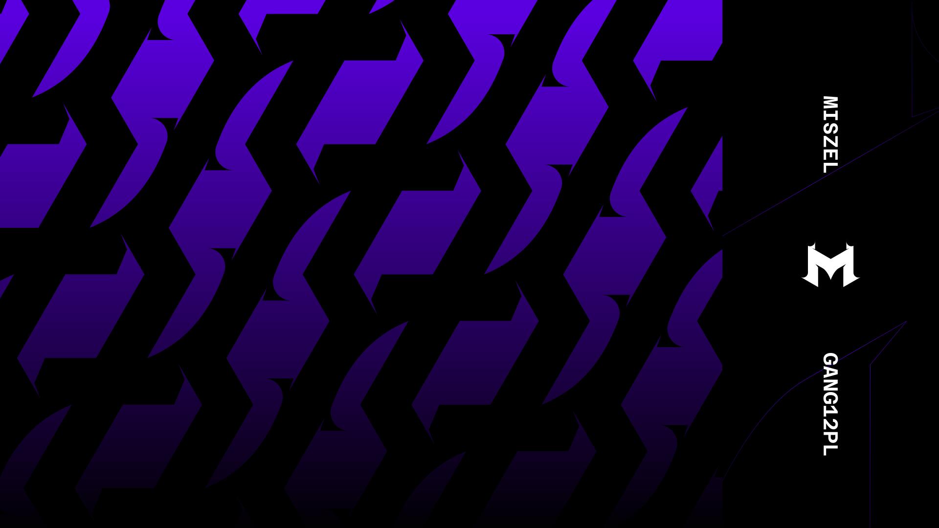 Discovery splash banner for GANG12PL Discord server
