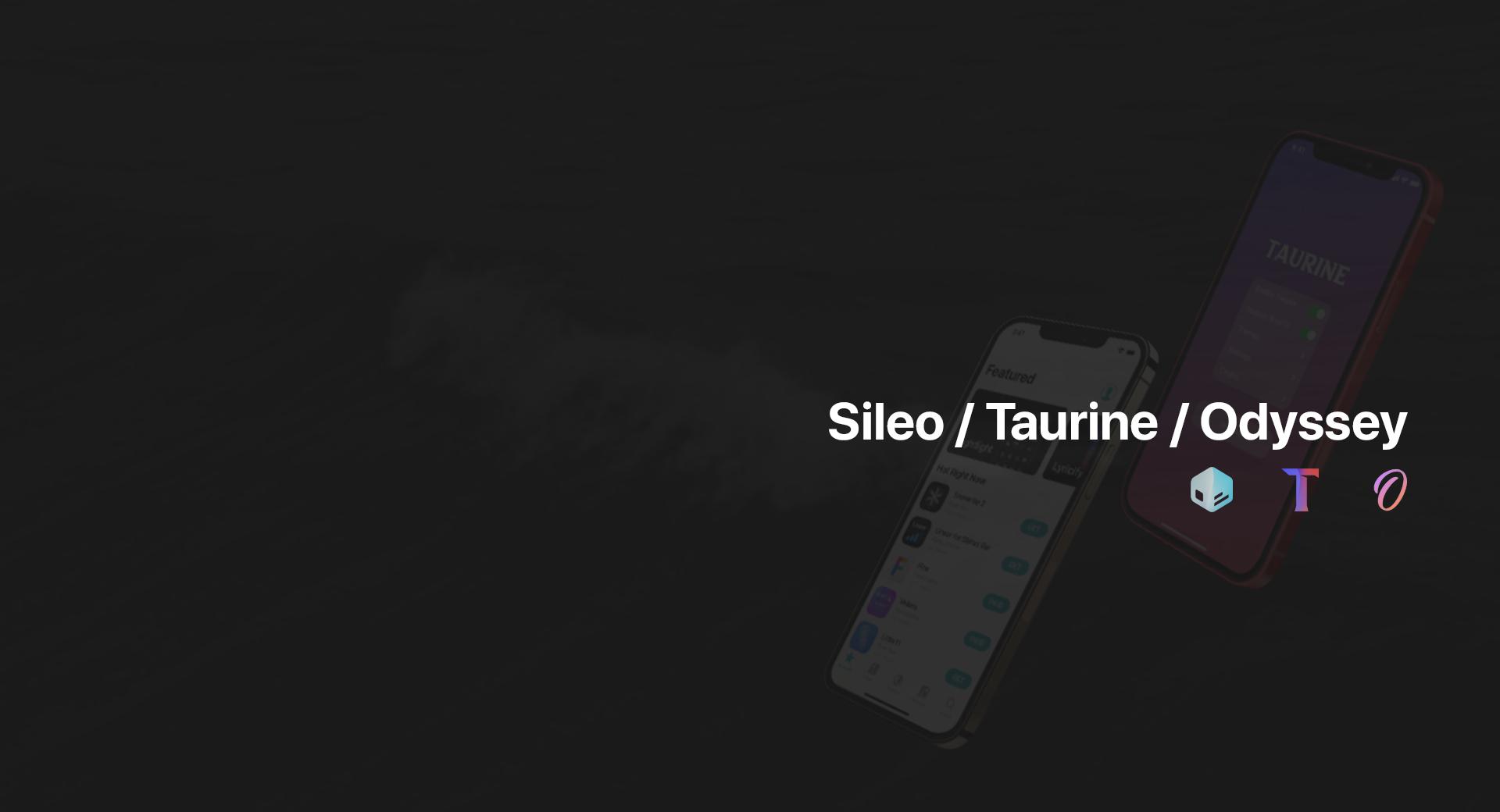 Discovery splash banner for Sileo/Odyssey Team Discord server