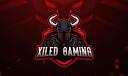 Discovery splash banner for Xiled Gaming Discord server