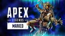 Discovery splash banner for ALPㅣAPEX LEGENDS PLAYER Discord server