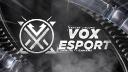 Discovery splash banner for VOX ESport ★ Discord server