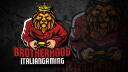 Discovery splash banner for Brotherhood Italian Gaming SSDrl Discord server