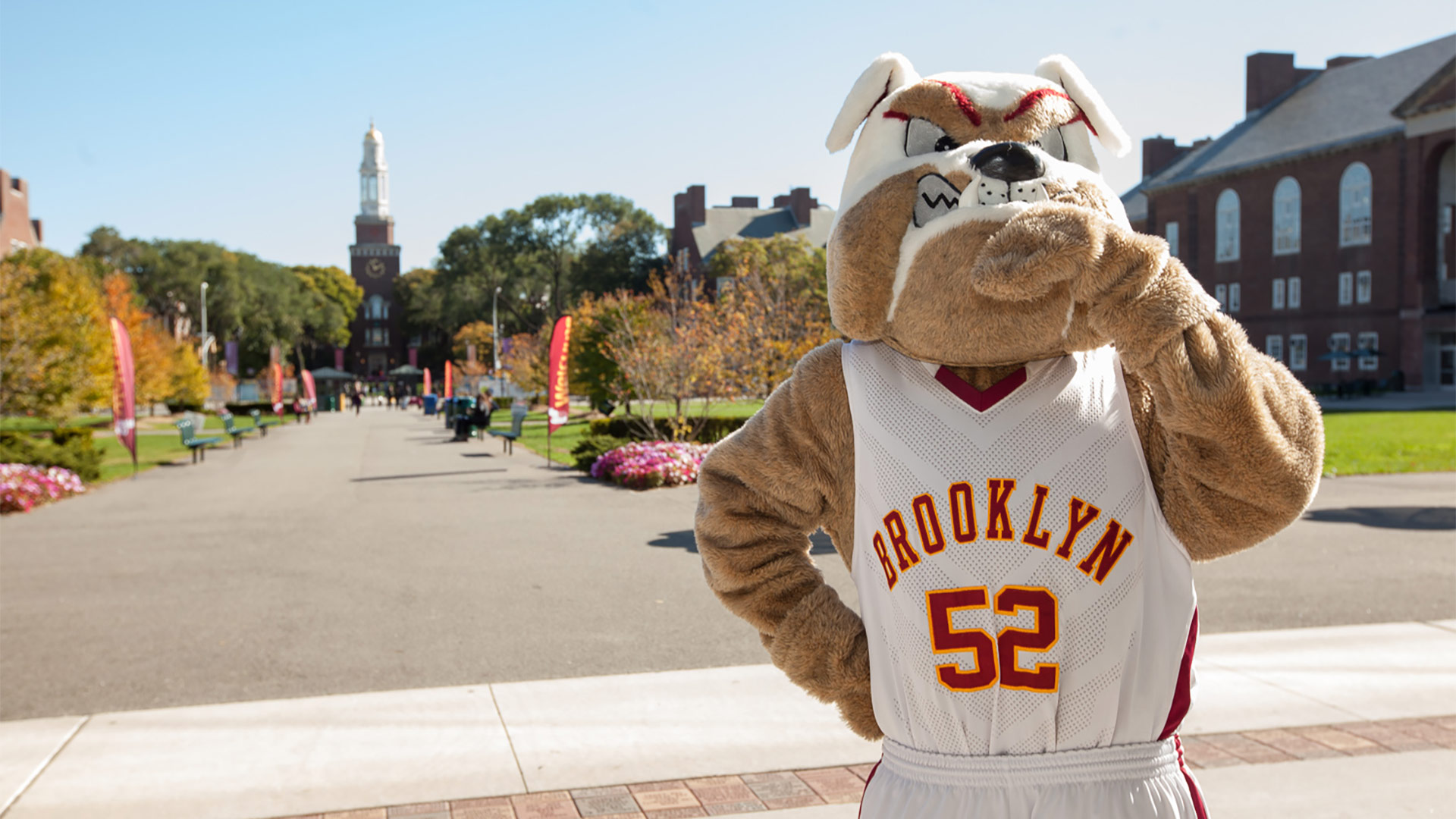 Discovery splash banner for Brooklyn College Lounge Discord server
