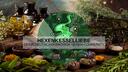 Discovery splash banner for Hexenkesselliebe Discord server