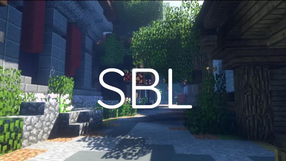 Discovery splash banner for Skyblock Life Discord server