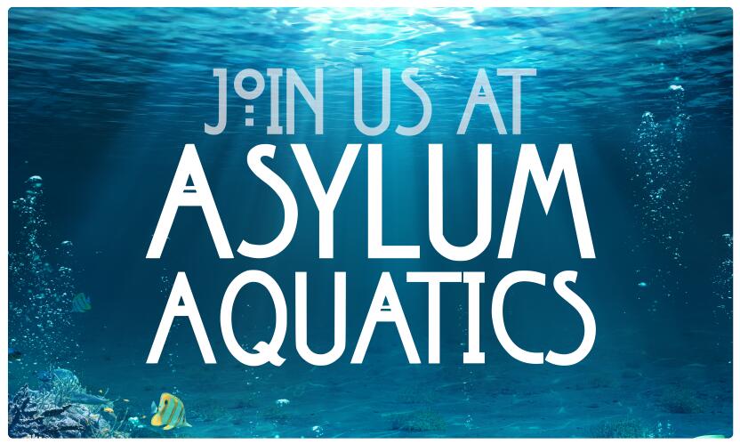 Discovery splash banner for Asylum Aquatics Discord server