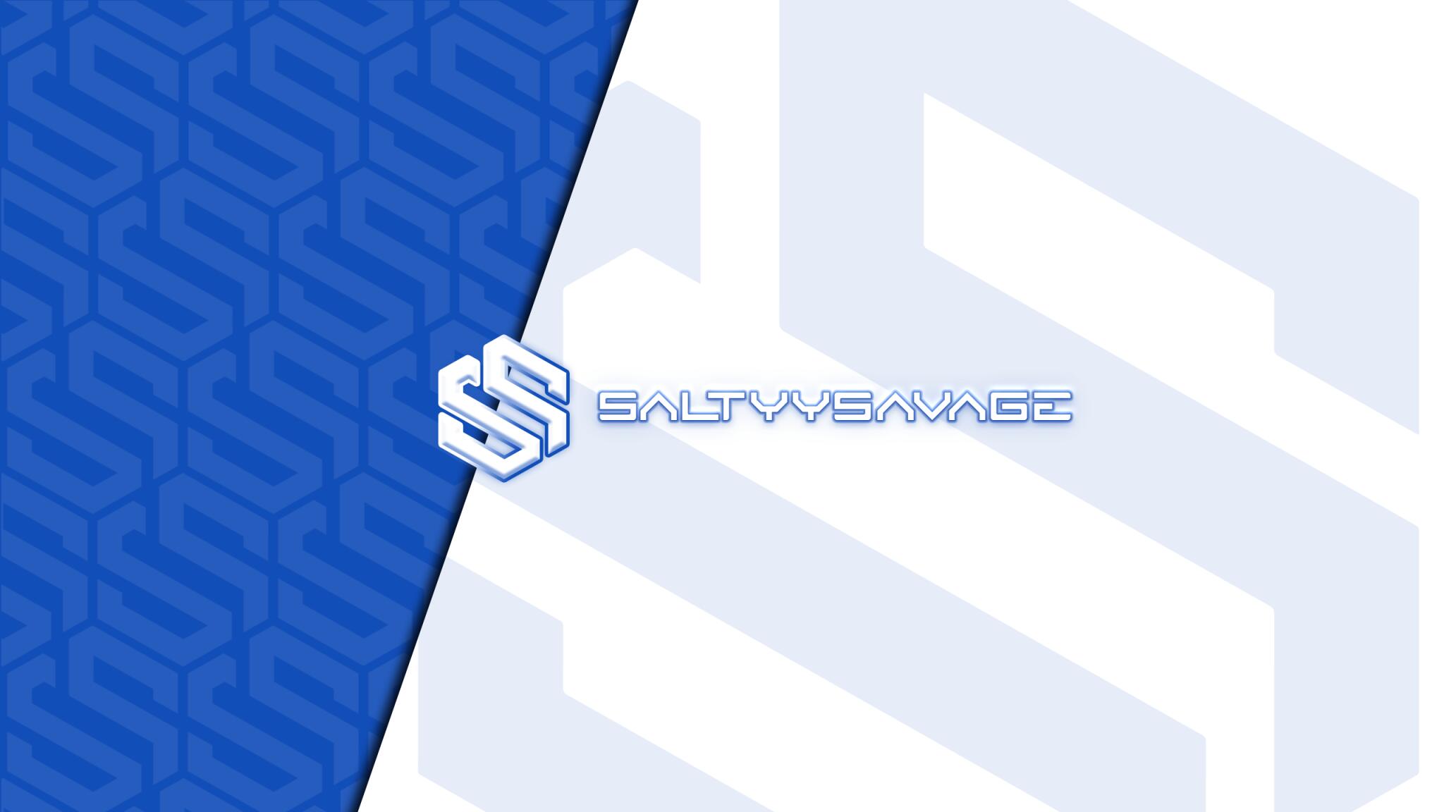 Discovery splash banner for TEAMSALTYY Discord server