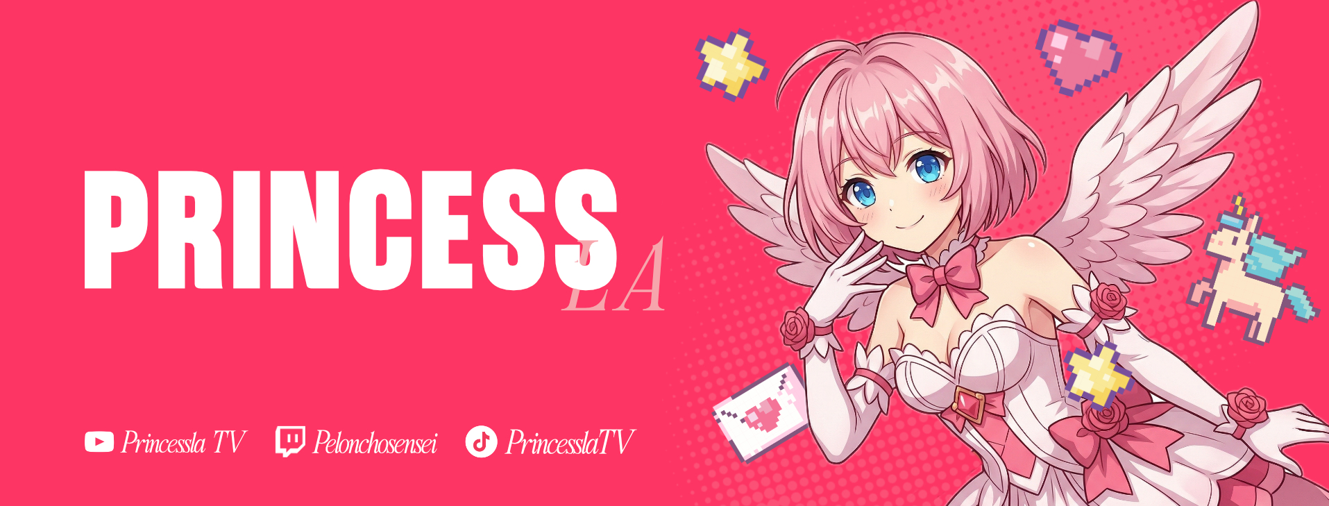 Discovery splash banner for Nación PrincessLa Discord server