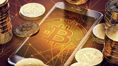 Discovery splash banner for Miranda Miner Bitcoin, Forex, Stocks and Crypto Community Discord server