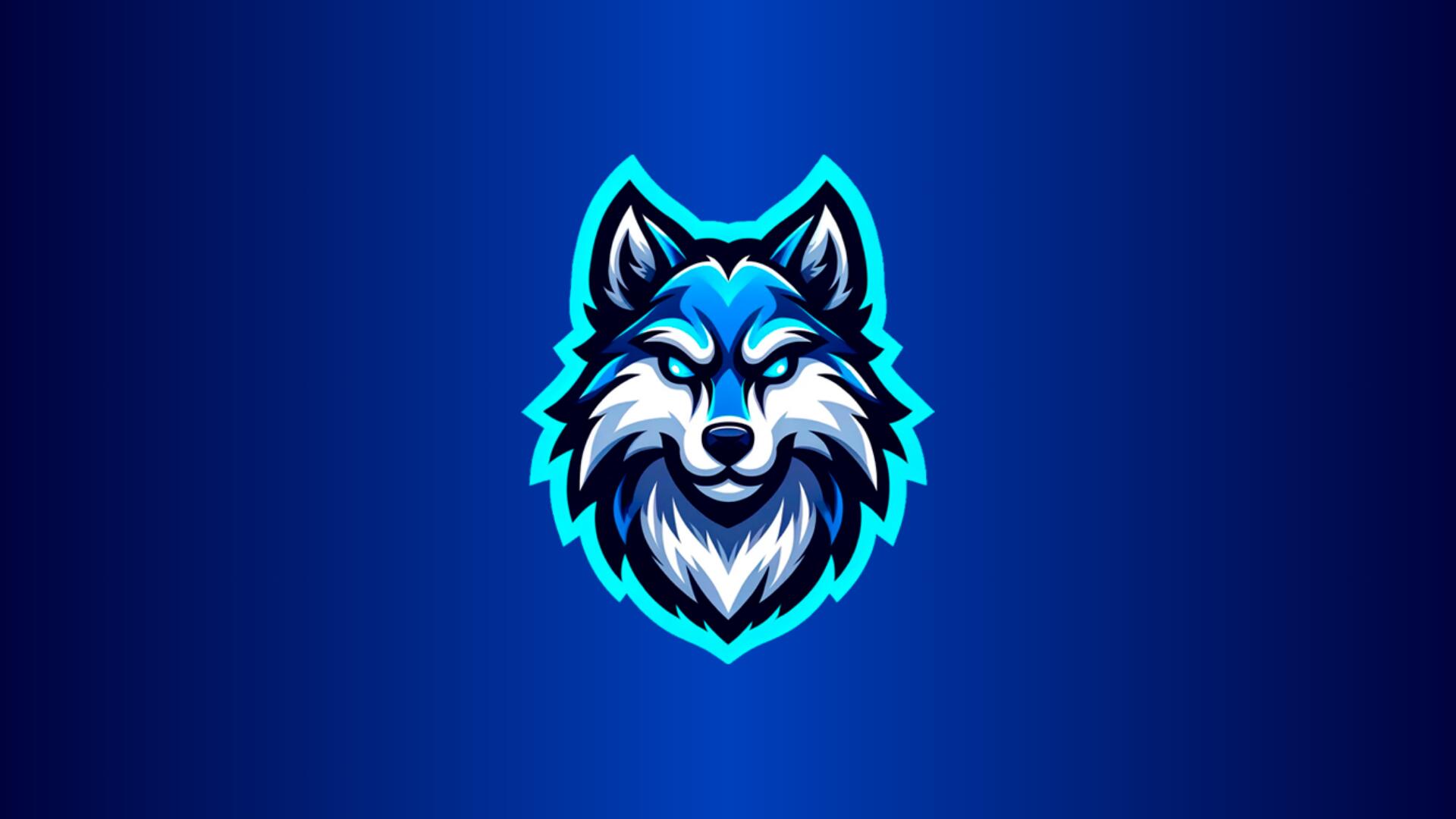 Discovery splash banner for Nicolas ECM Store Discord server