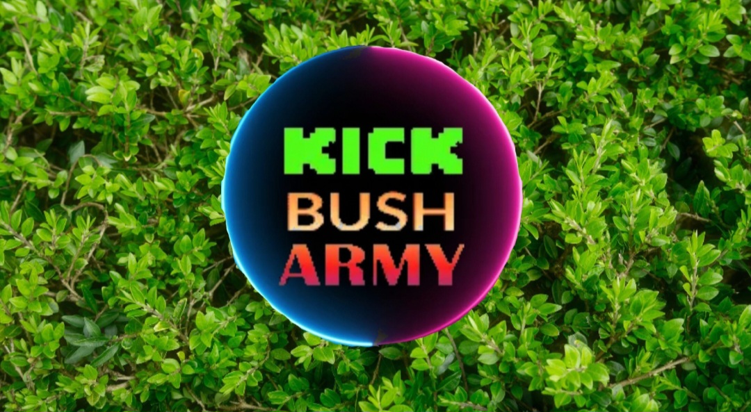 Discovery splash banner for Kick Bush Army Discord server