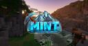Discovery splash banner for MintMC.dk Discord server