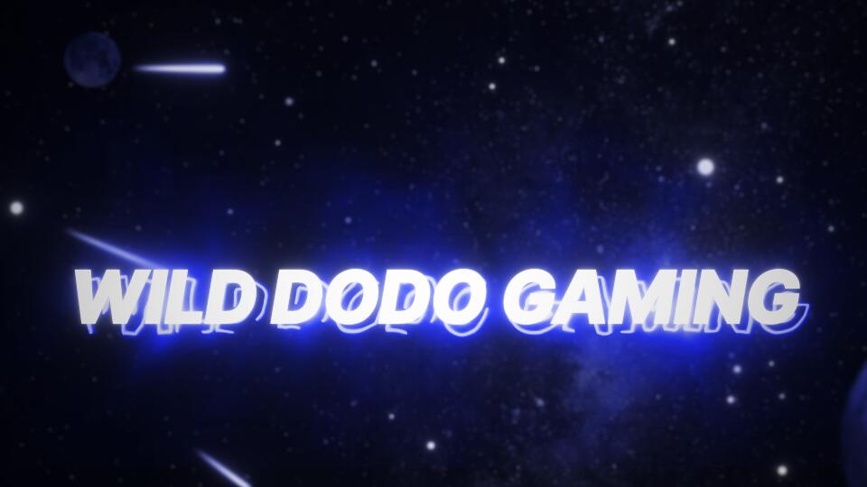Discovery splash banner for Wild Dodo Gaming Discord server