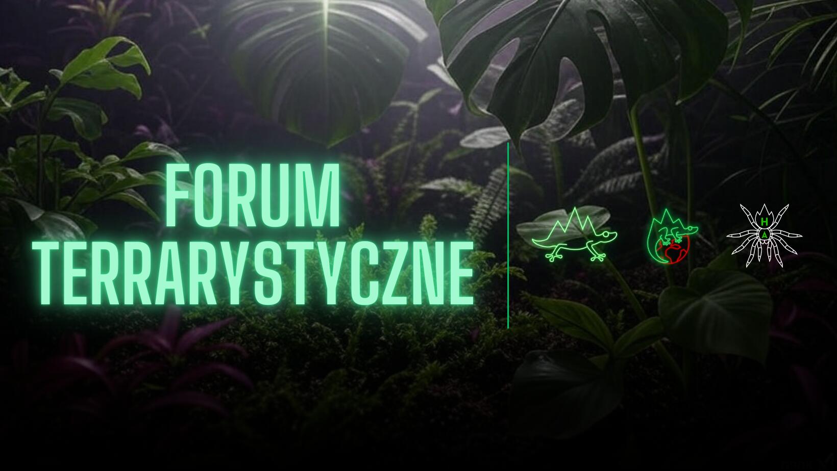 Discovery splash banner for ANIMOUNT COMMUNITY Discord server