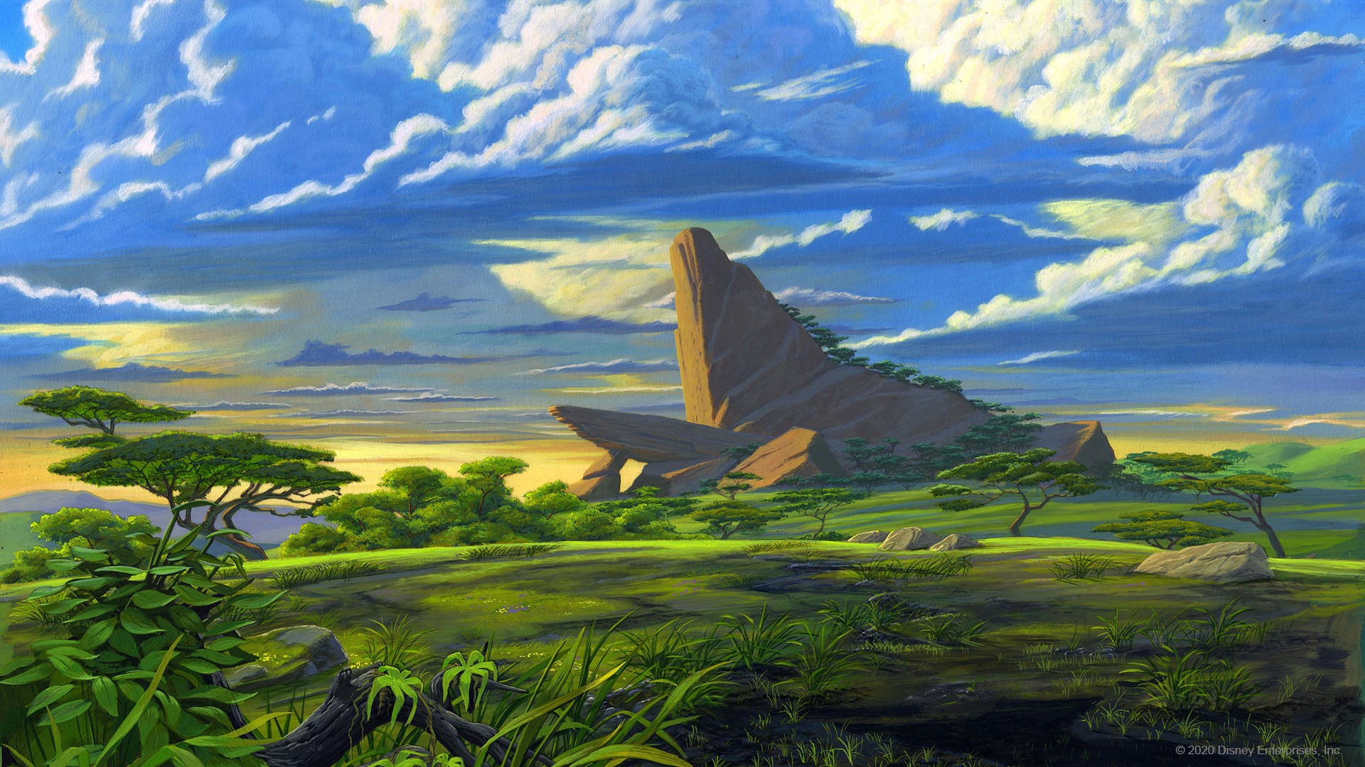 Discovery splash banner for Circle of Life™ Discord server