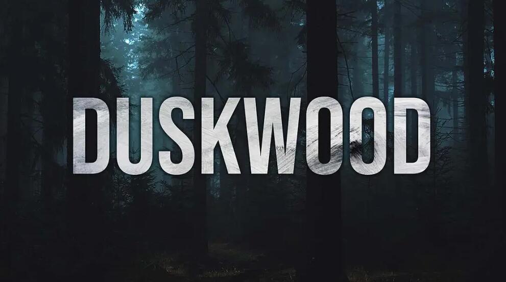 Discovery splash banner for Duskwood & Moonvale Discord server