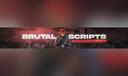 Discovery splash banner for Brutal Scripts Discord server
