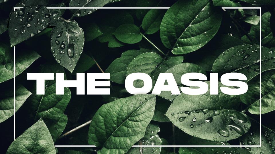 Discovery splash banner for The Oasis Discord server