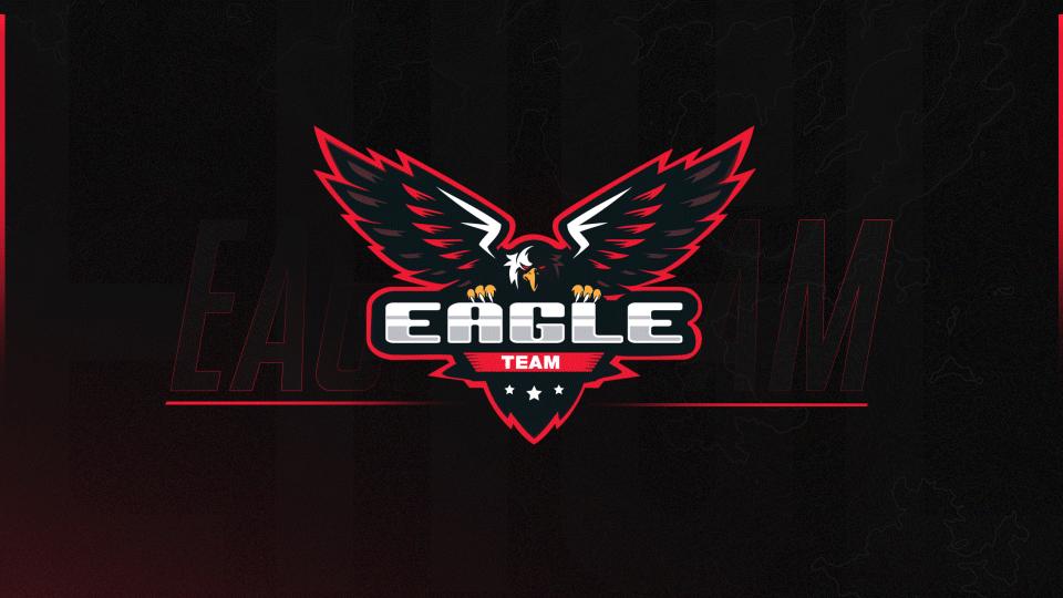 Discovery splash banner for Eagle Team E-Sports Discord server