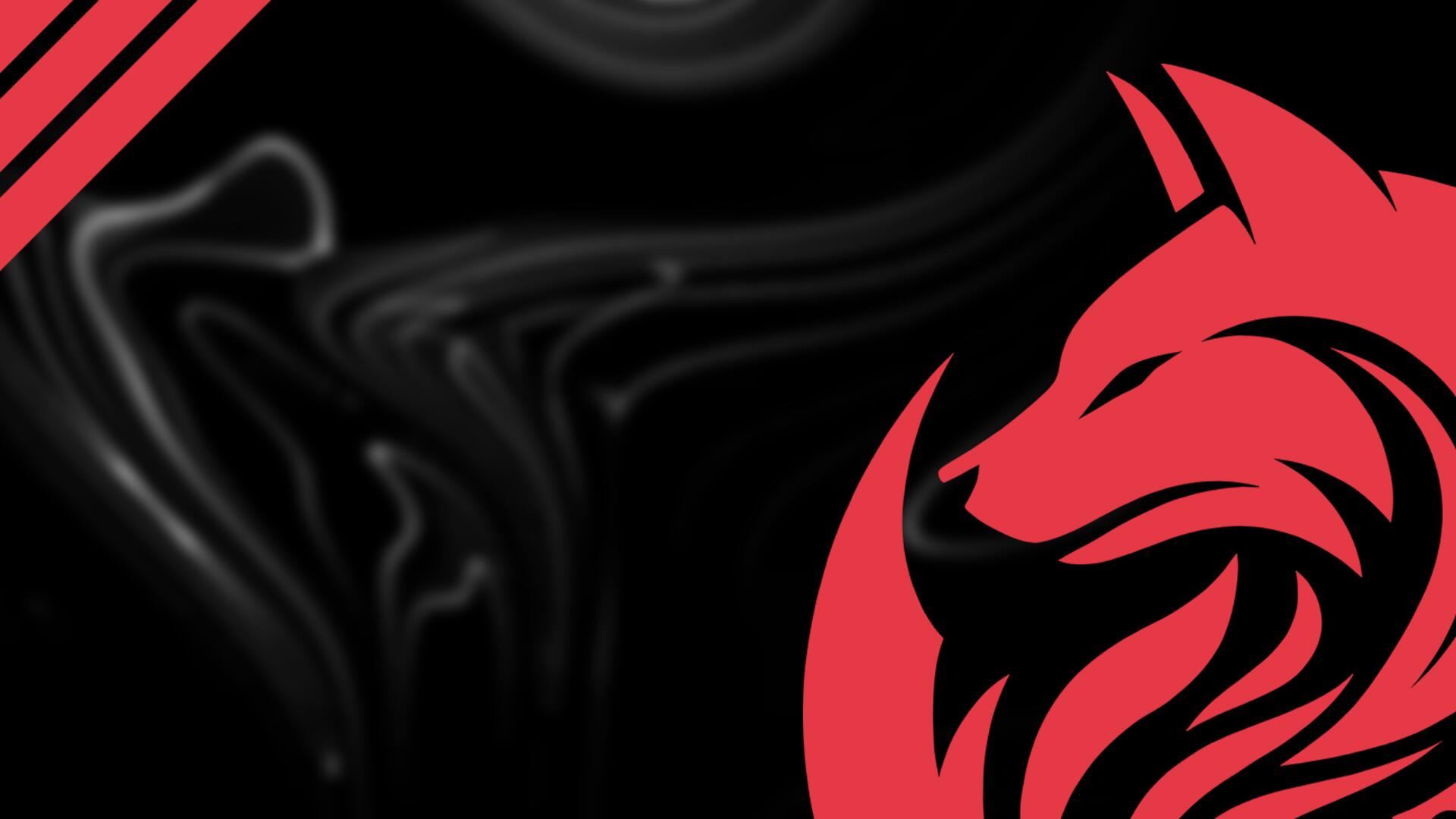 Discovery splash banner for OXA.GG Discord server